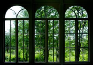 A view of trees through a popular window type.