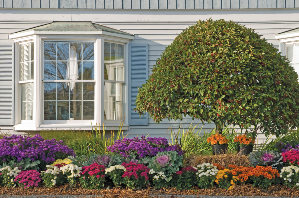 A vibrant flower bed in front of a house.