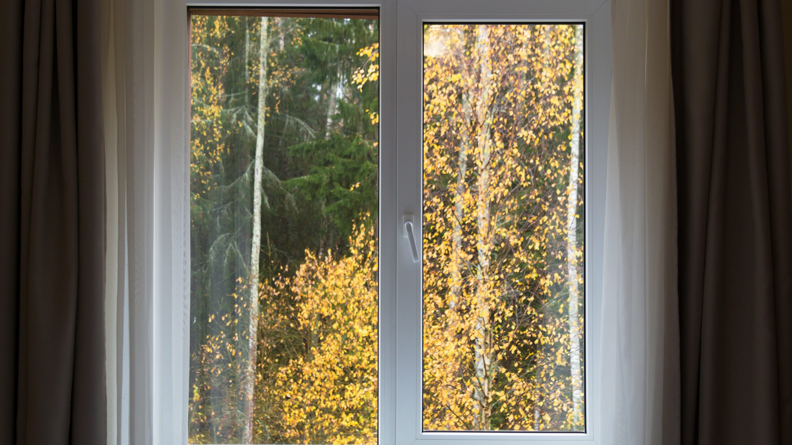 A replacement window with white curtains overlooking trees with fall leaves