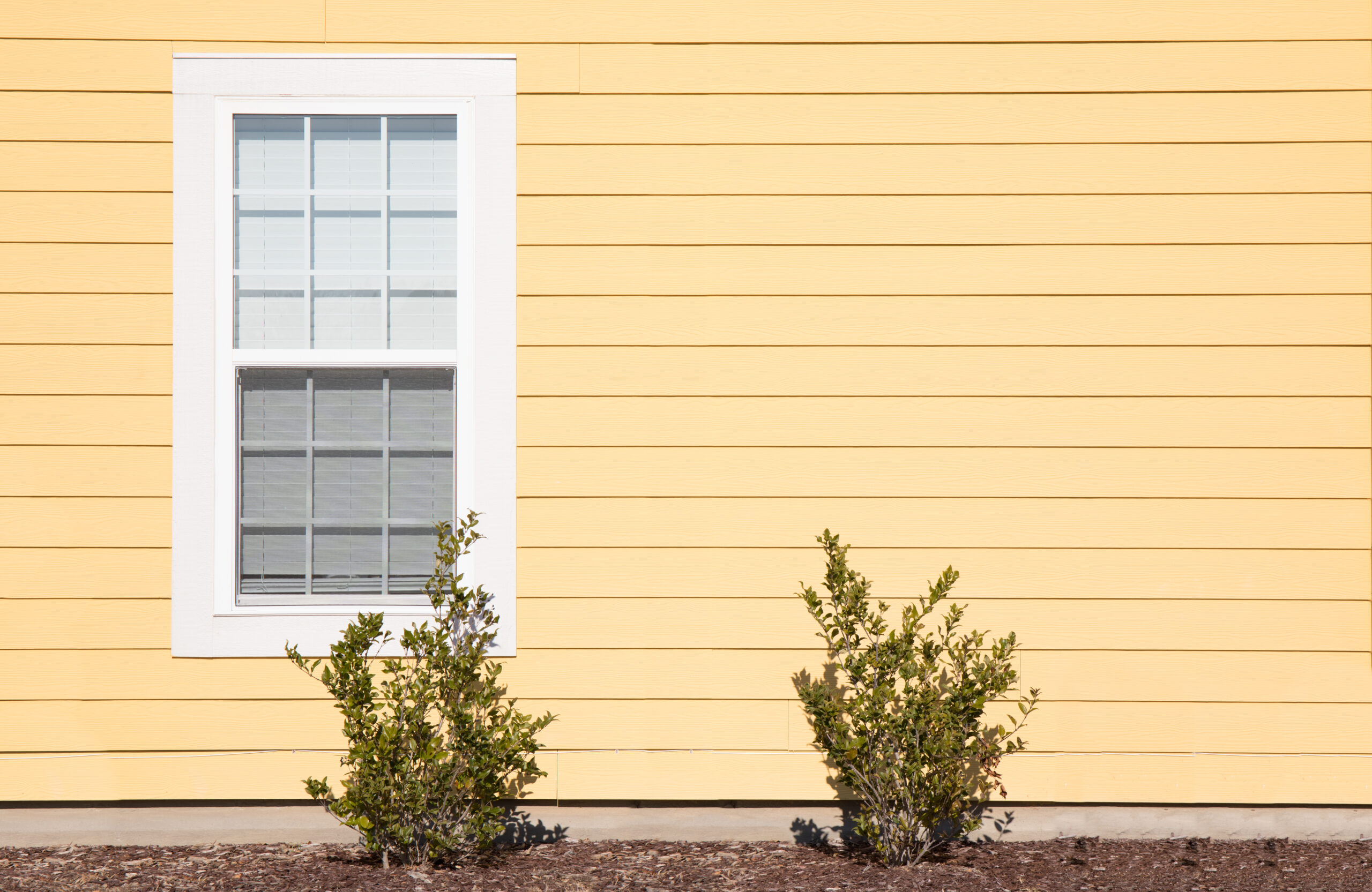 Yellow house with horizontal siding, white-framed window, and small shrubs.