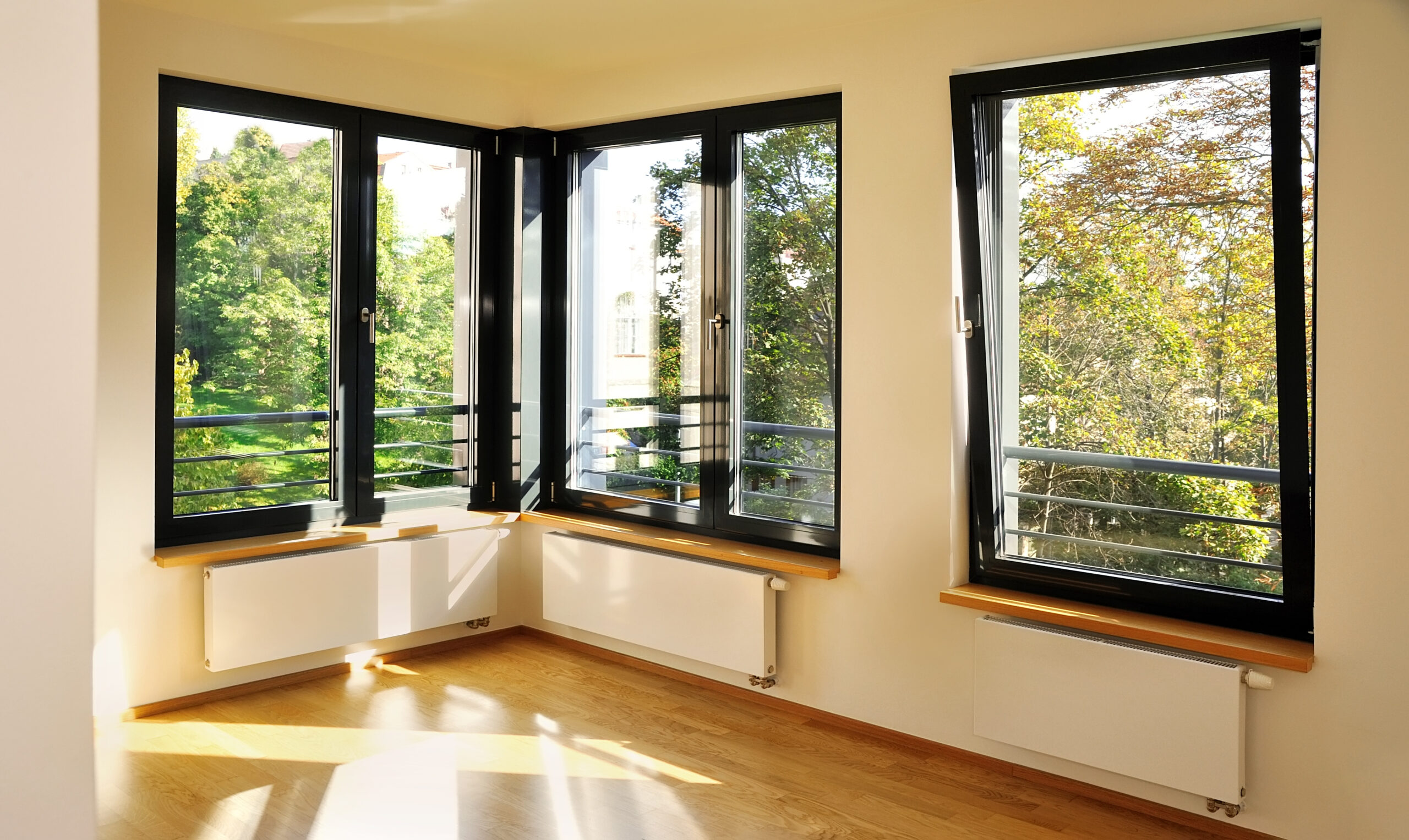 Black framed windows in home